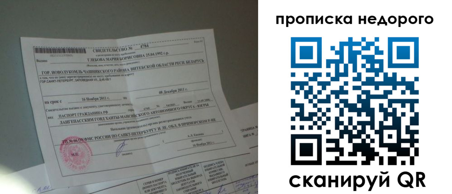 прописка гарантия в Апатитах