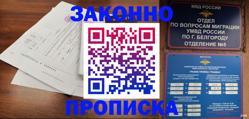 прописка в Апатитах